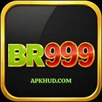 BR 999 Game