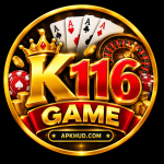 k116 game